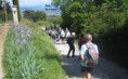 /album/st-romain-de-lerps-jeudi-7-mai-13-h/2026-05-07-st-romain-de-lerps-08-jpg/